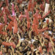 Atención Independiente: información importante sobre la venta de entradas vs Racing