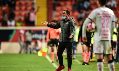 Este es el entrenador que podría llegar a Independiente