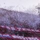 Llegó un día importante para los socios de Independiente