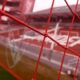 El nuevo jugador que se fue de Independiente